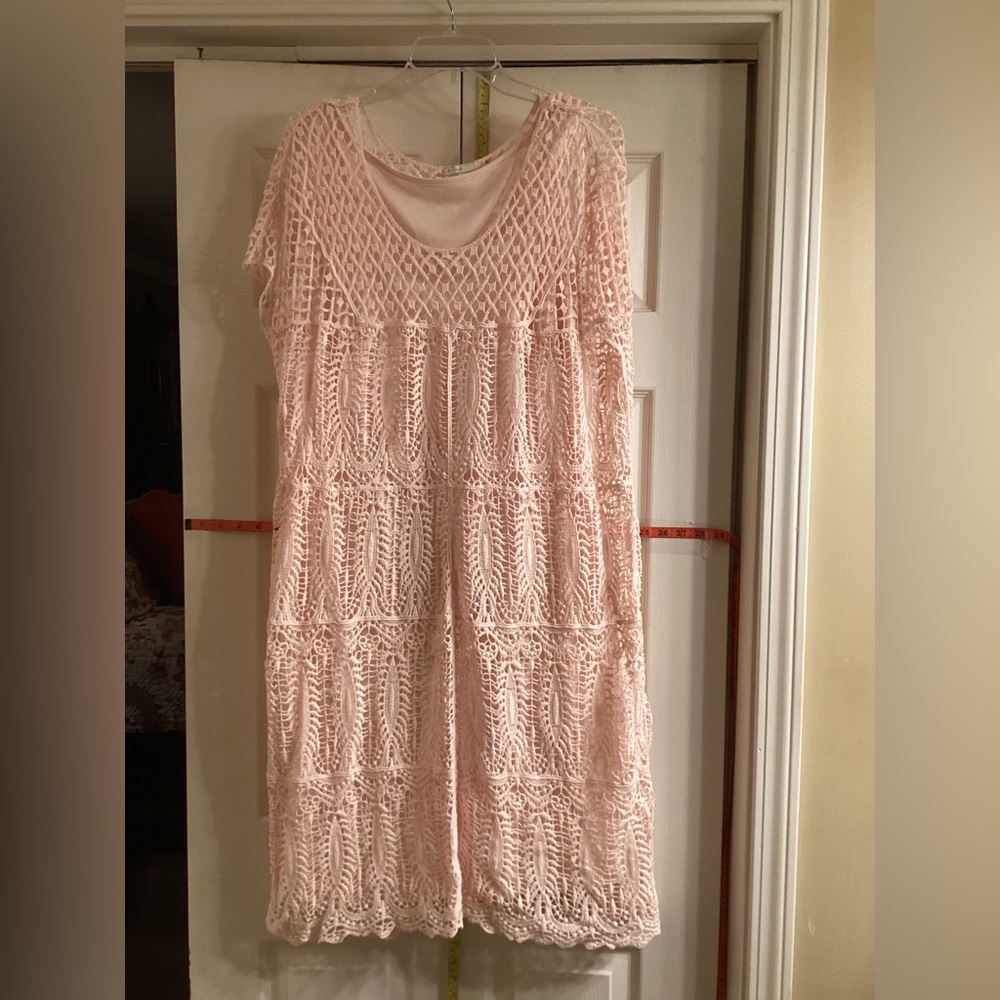 Elegant Pink Lace Dress with liner slip